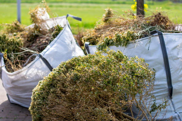 Best Estate Cleanout Services  in Waldpt, OR